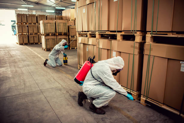 Best Cockroach Control Services  in Roessleville, NY