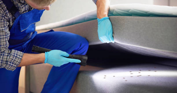 Best Rat Extermination Near Me  in Roessleville, NY