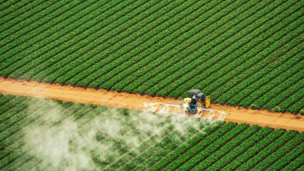 Best Mosquito Control Services  in Roessleville, NY