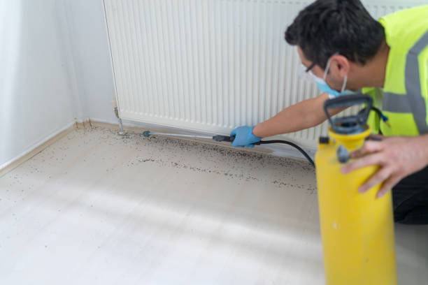 Best Affordable Pest Control Services  in Roessleville, NY